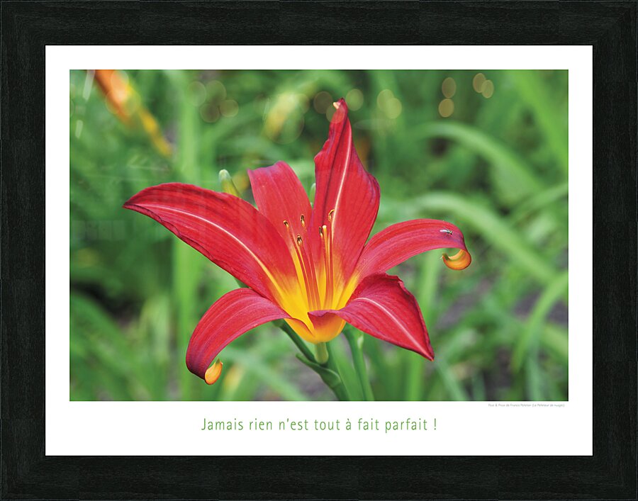 LA MOUCHE Picture Frame print