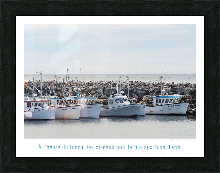 BOAT FOOD Picture Frame print