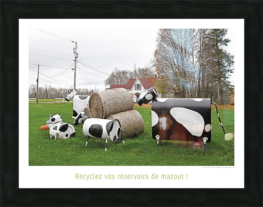 LES VACHES PETROLIERES Picture Frame print