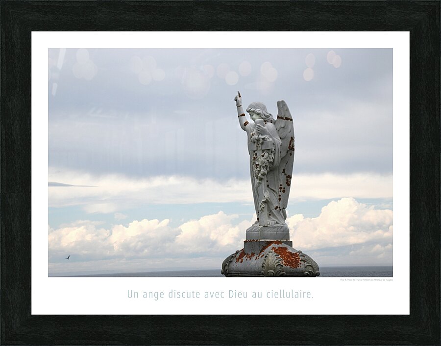 ALLO ALLO DIEU Picture Frame print