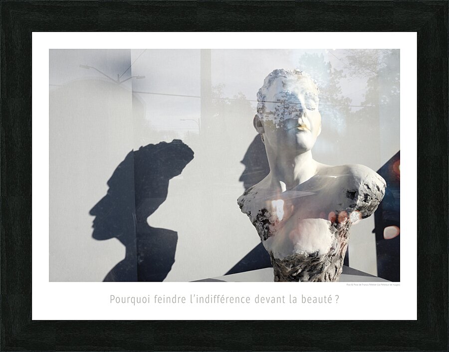 FEINDRE L INDIFFERENCE Picture Frame print