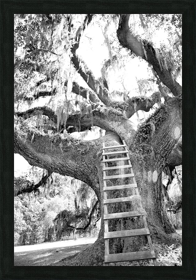 Escape Picture Frame print