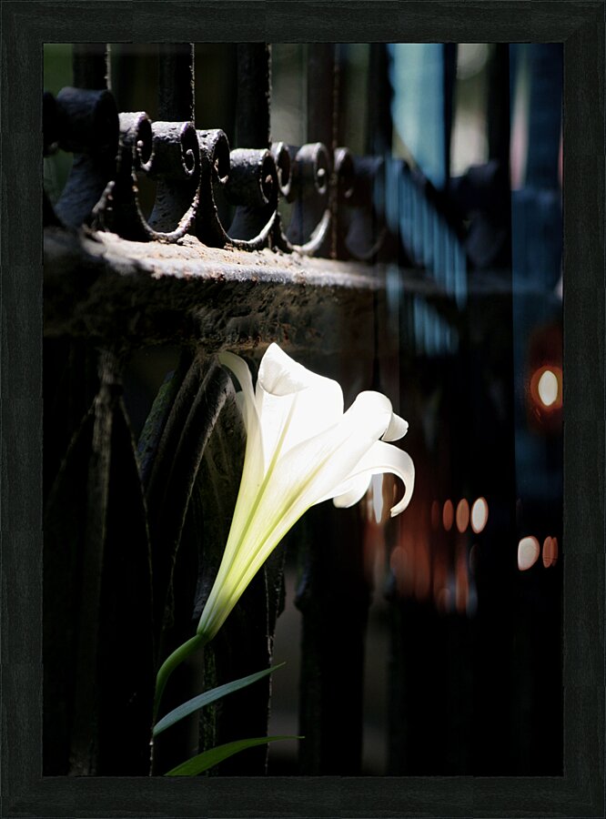 Peace Picture Frame print
