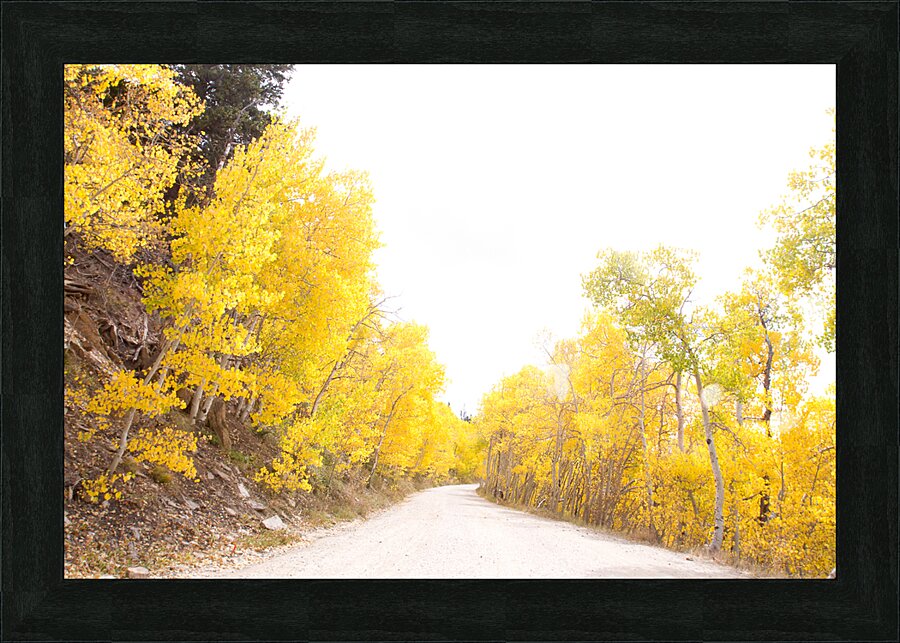 Golden Picture Frame print