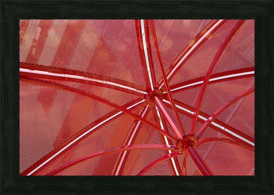 A Charlotte Shade of Red Picture Frame print