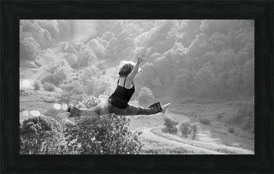 Dare To Soar Picture Frame print