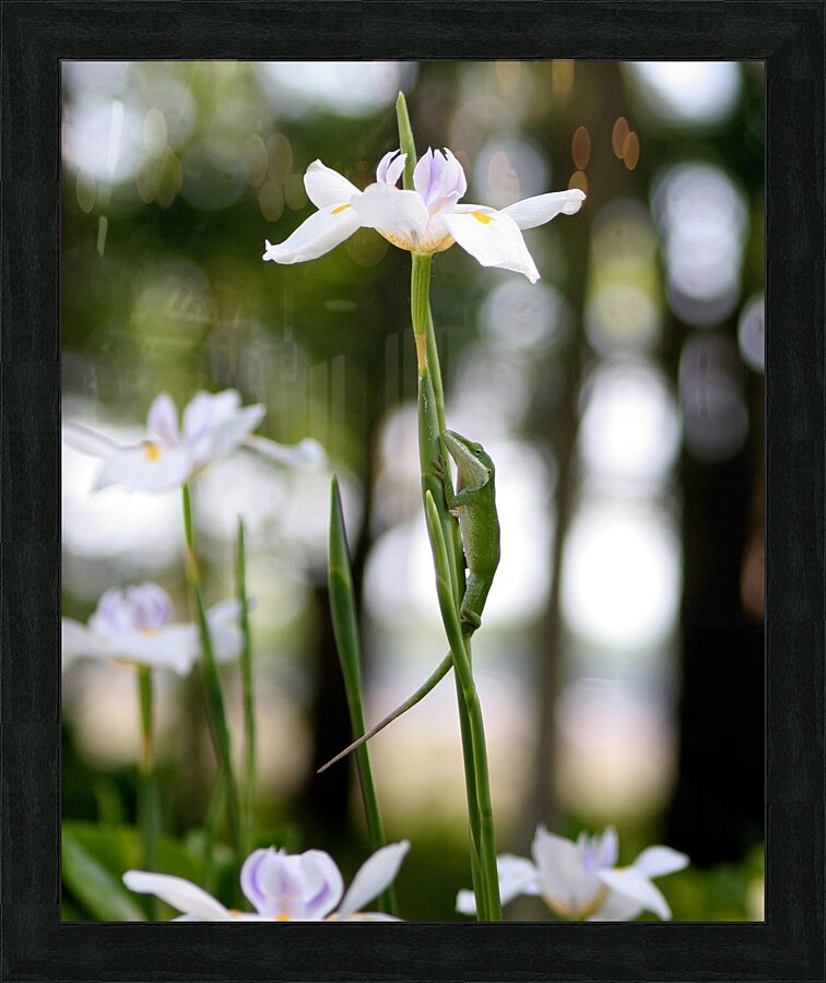 MY Flower Picture Frame print