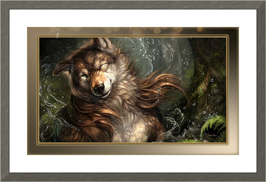 Wet Wolf  Picture Frame print