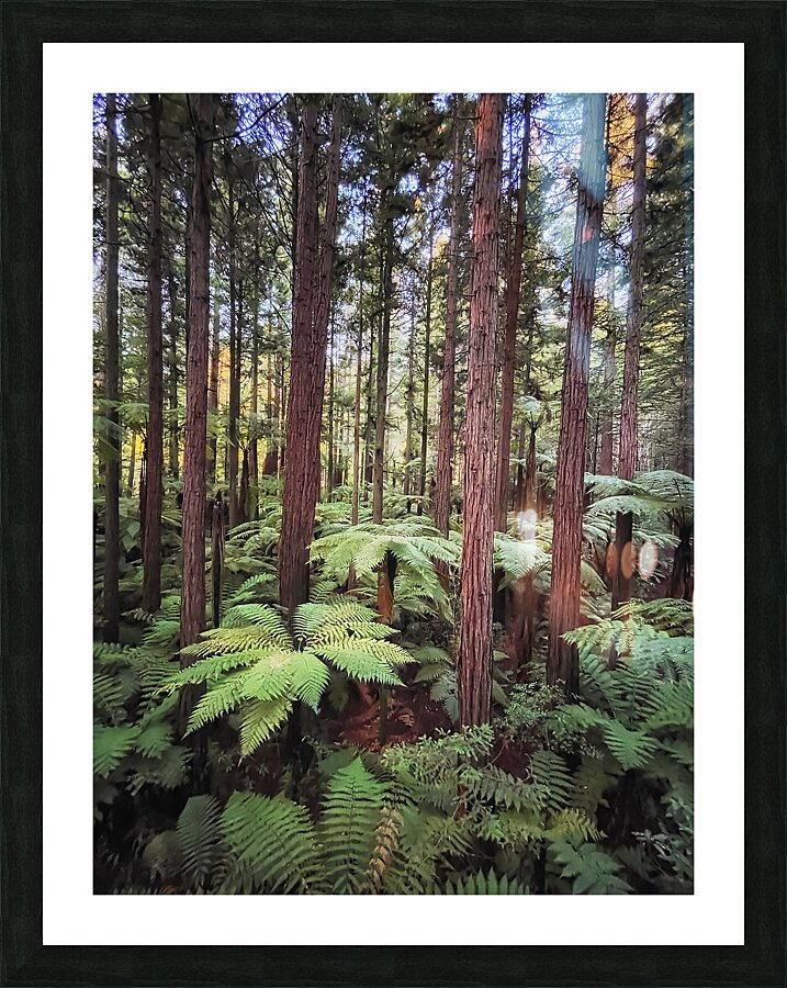 IMG 7528punch  Framed Print Print