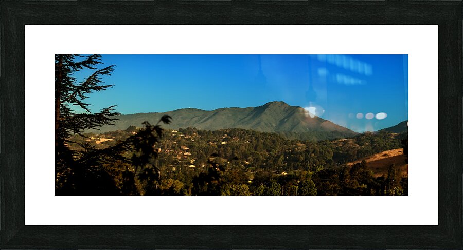 Mt Tam Summer view  Framed Print Print