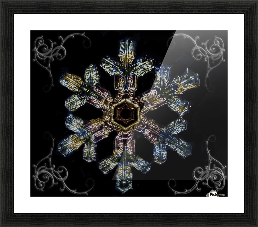 Coloured Snowflake1 Picture Frame print
