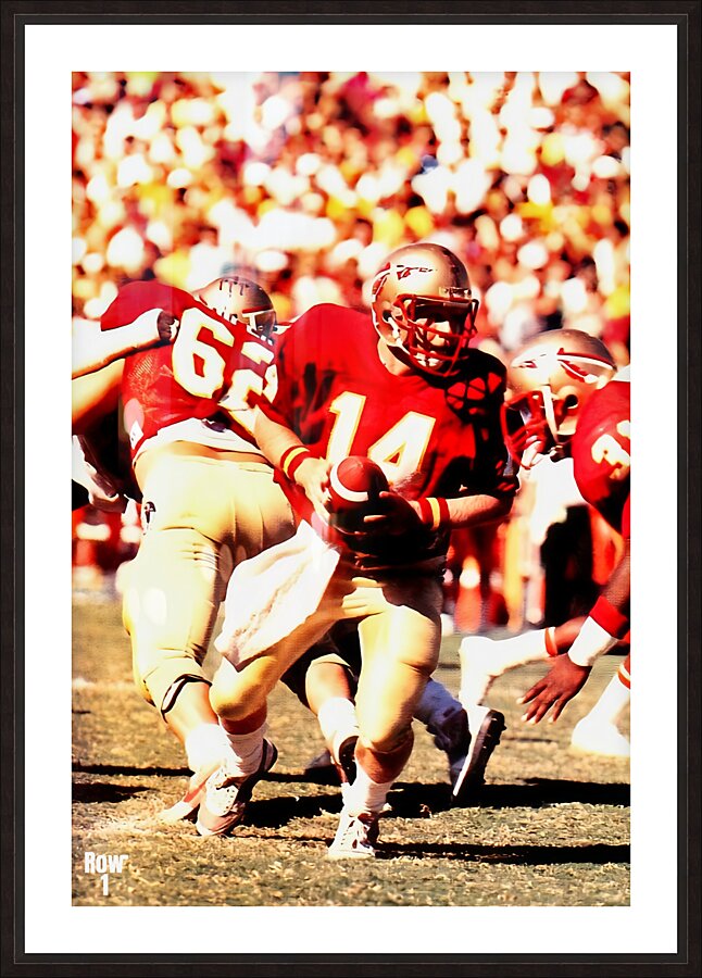 Danny McManus Florida State Art Picture Frame print