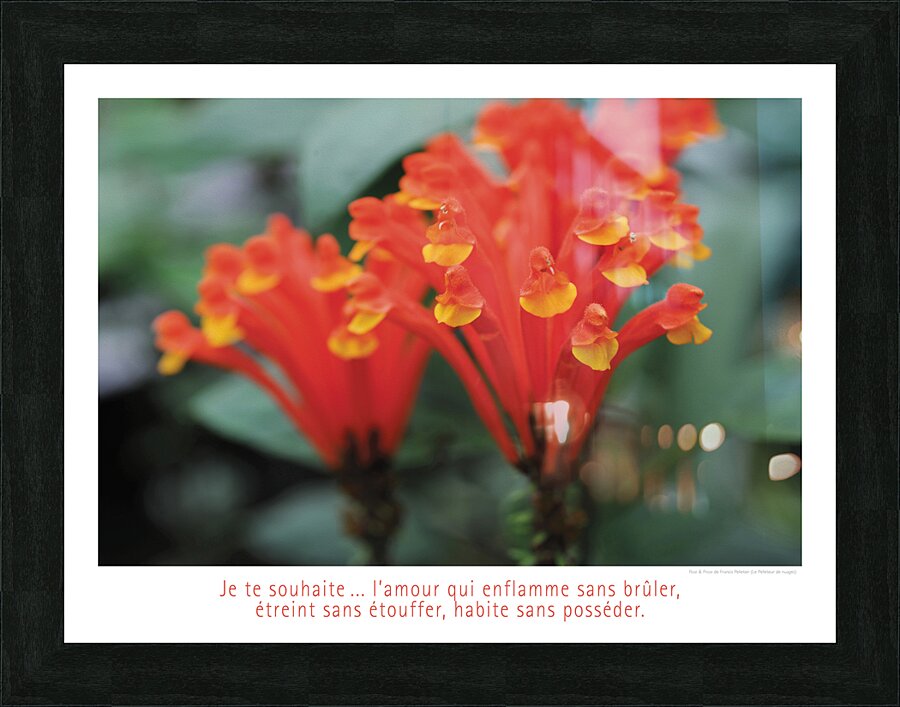 LES AMANTS ENFLAMMES Picture Frame print