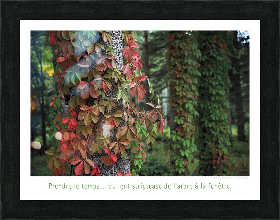 L EFFEUILLEUR Picture Frame print