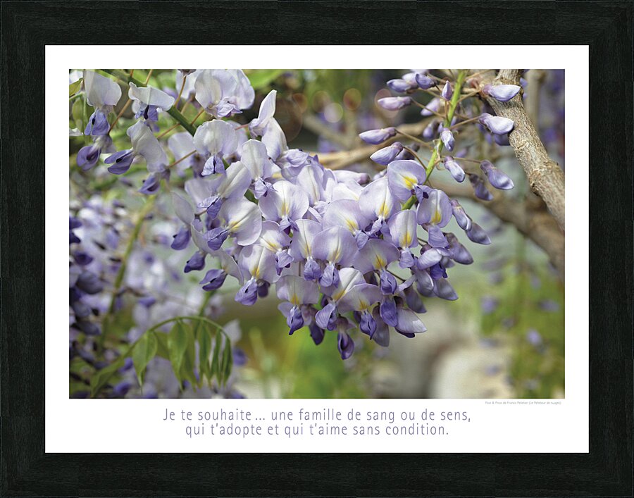 ATTRAPEZ LA GRAPPE Picture Frame print