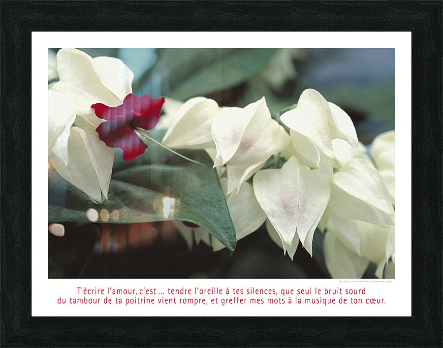 LES CACHE COEURS Picture Frame print