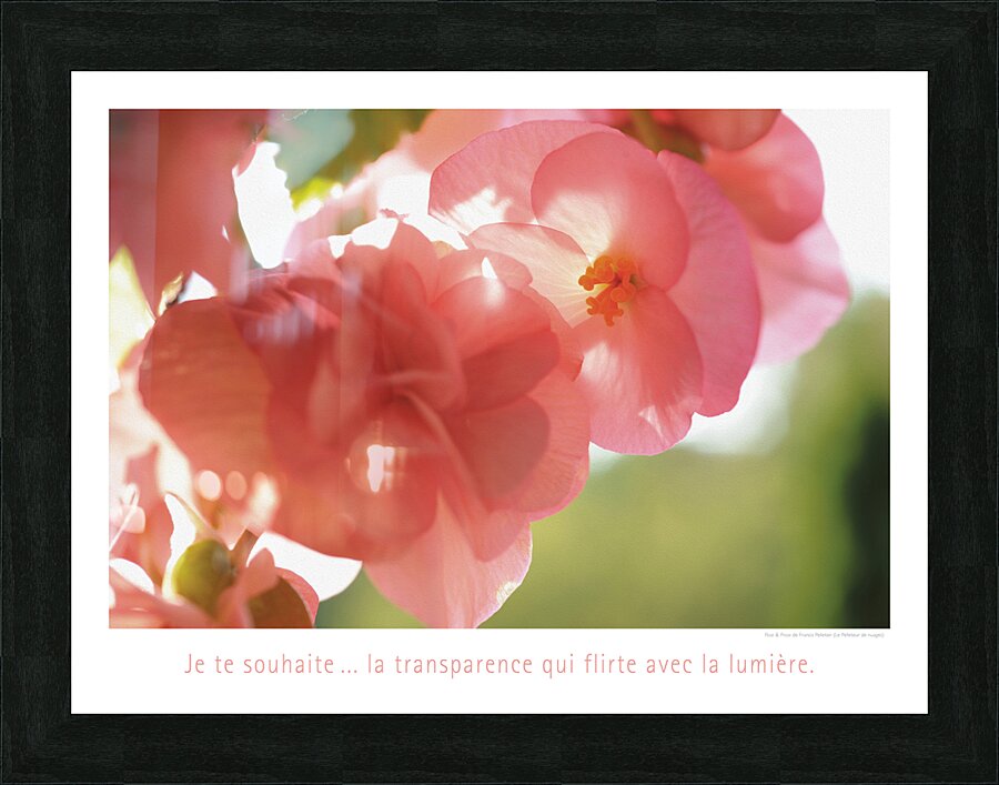 LA TRANSPARENCE Picture Frame print