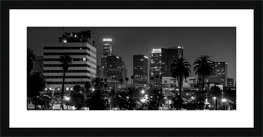 LA skyline from macarthur park  panoramic 2179 Ma Picture Frame print