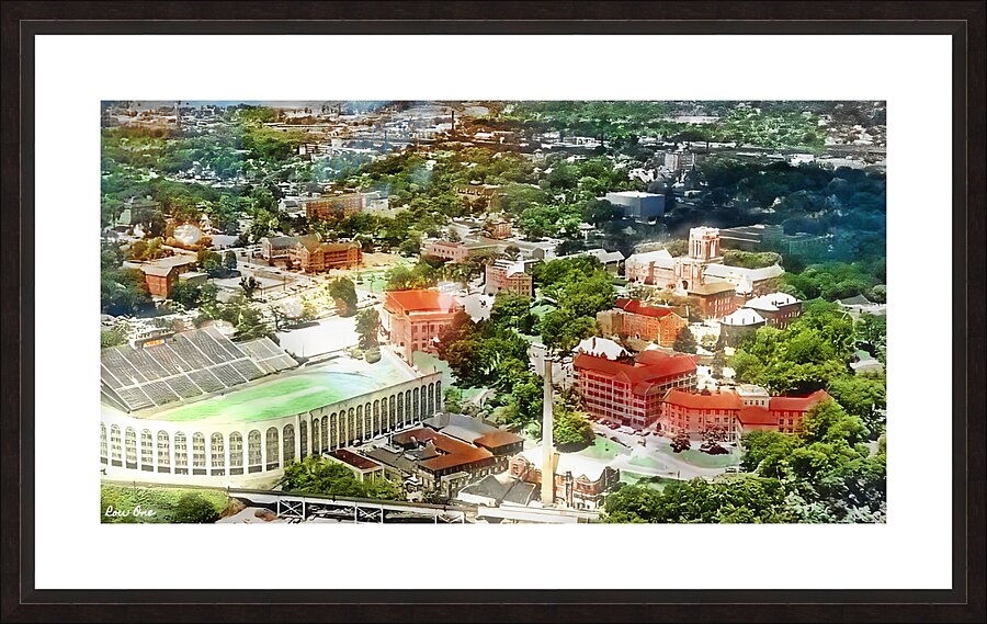 1960 tennessee campus art Picture Frame print
