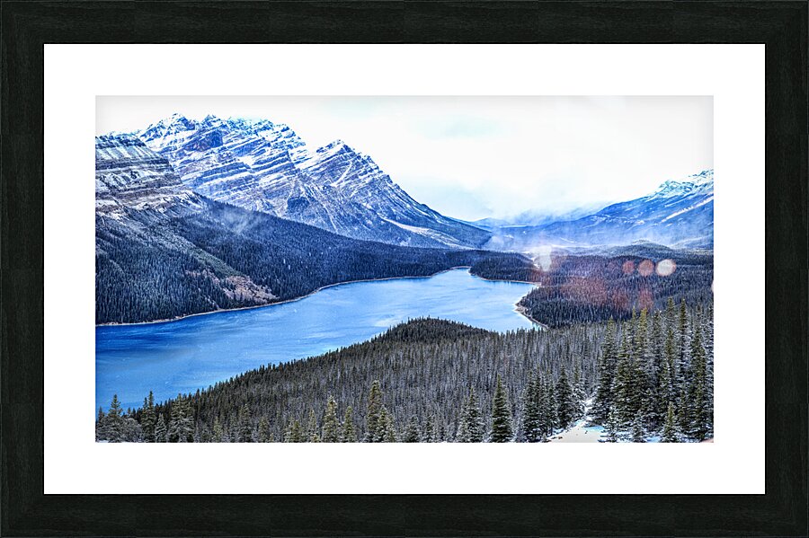 Peyto Lake Winter veil: A Canvas of Dark Evergreens and Snowy Serenity Picture Frame print