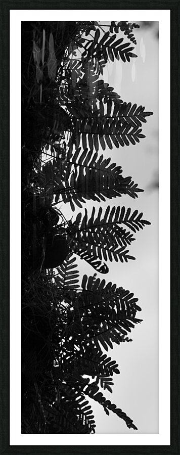 Negative and Positive Picture Frame print