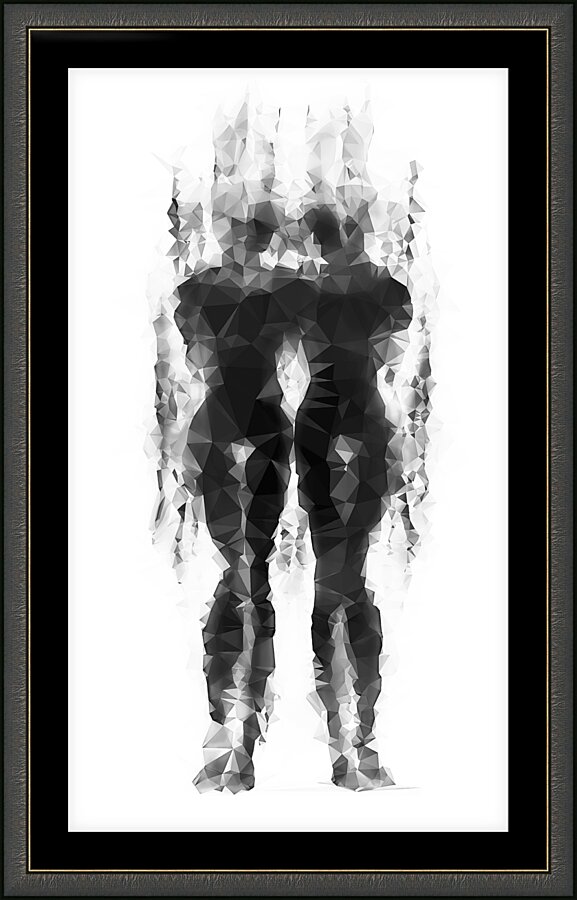 Twins  Framed Print Print