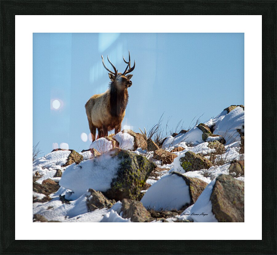 The Overlook Picture Frame print