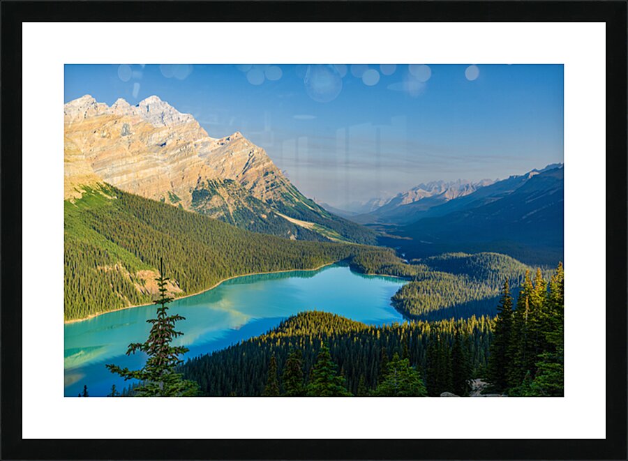  Fine Art print