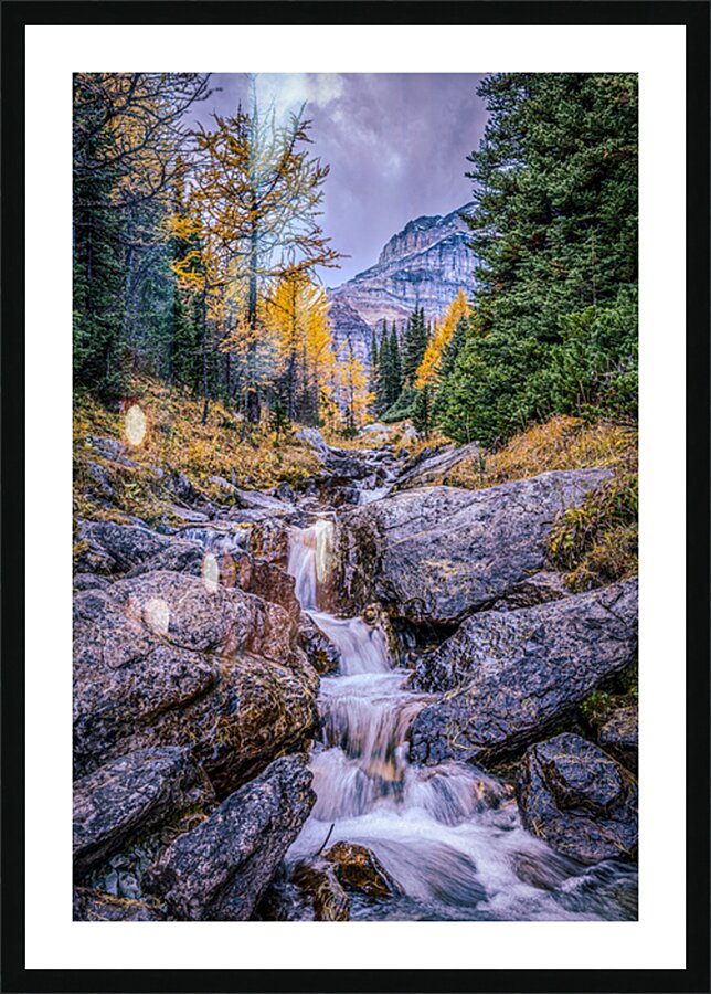  Fine Art print