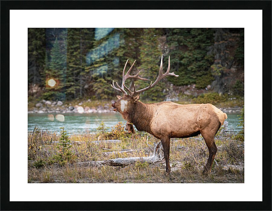  Fine Art print
