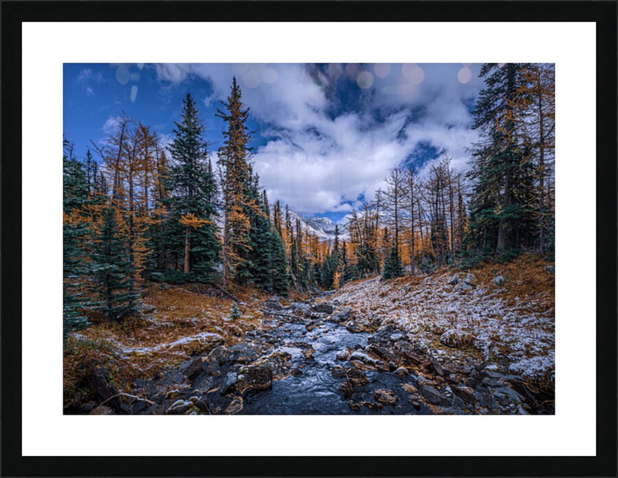  Fine Art print