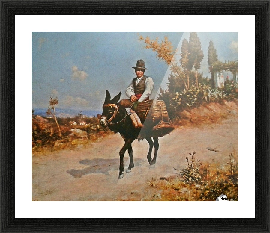 Traveling on a donkey Picture Frame print