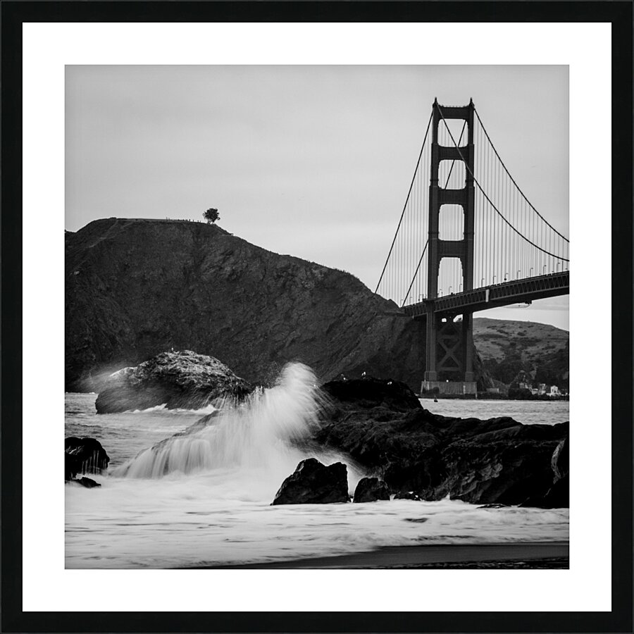 lone tree overlooks golden gate bridge  square 51 Picture Frame print