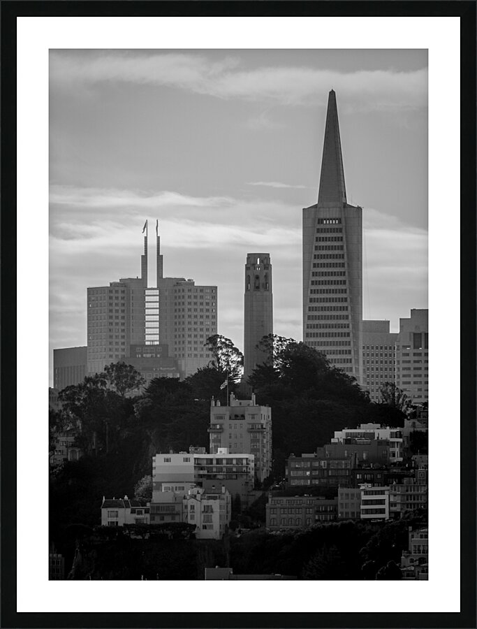 pioneer park coit tower telegraph hill  vertical Picture Frame print