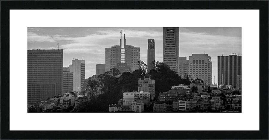 pioneer park coit tower telegraph hill  panoramic Picture Frame print