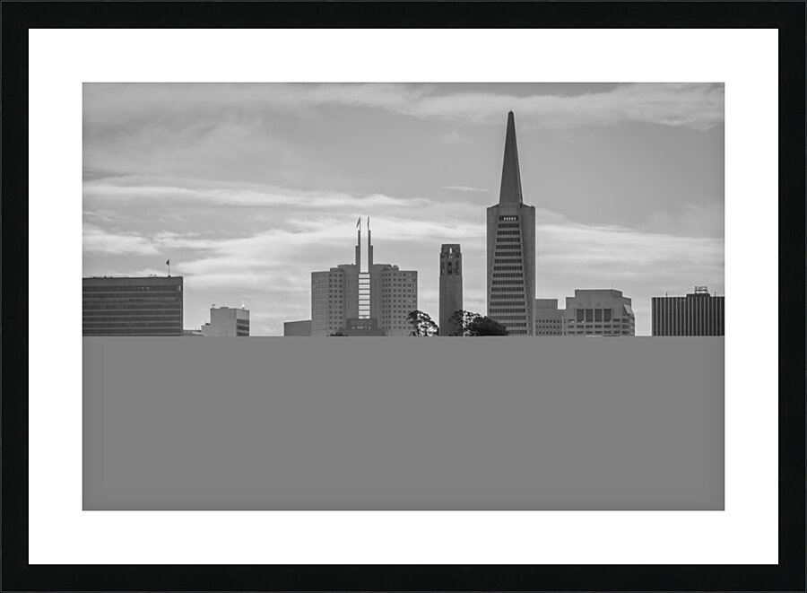 pioneer park coit tower telegraph hill  horizonta Picture Frame print