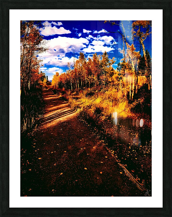 Pumpkin Path  Framed Print Print