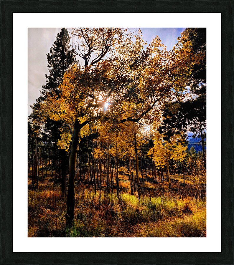 The Last Moment Picture Frame print