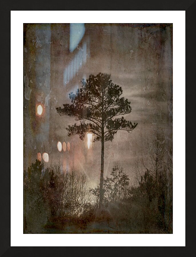 One Antique Textured Tree Picture Frame print