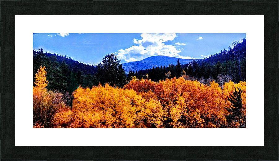 Orange October Picture Frame print