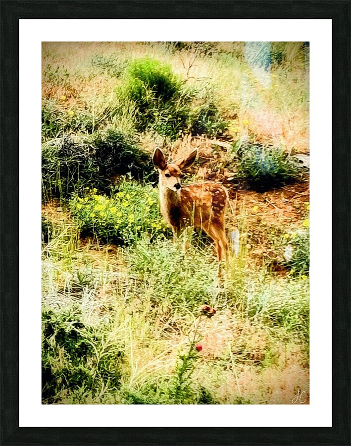 Dandelion Deer Picture Frame print