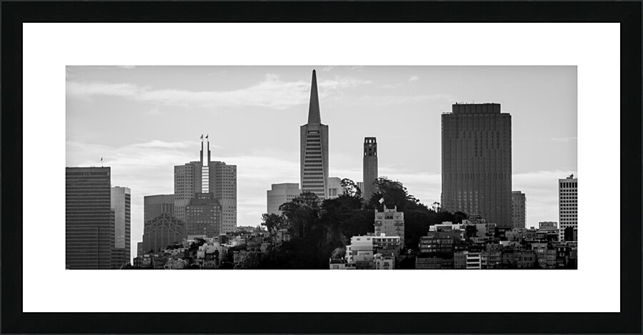 telegraph hill san francisco skyline  panoramic 2 Picture Frame print