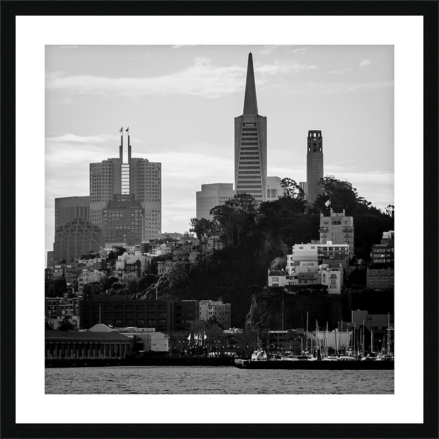 telegraph hill san francisco skyline  square 2892 Picture Frame print