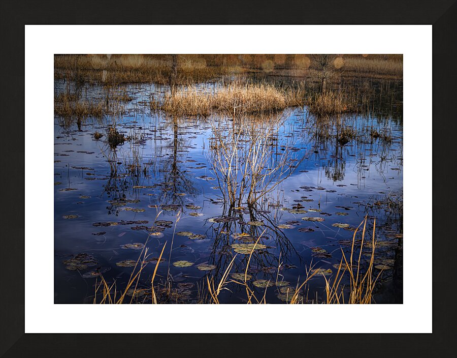 Low Country Marsh Sky Reflections Picture Frame print