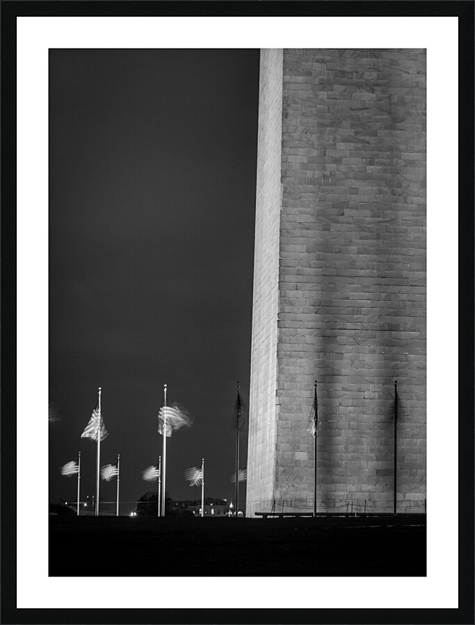us flags around washington monument  vertical 413 Picture Frame print