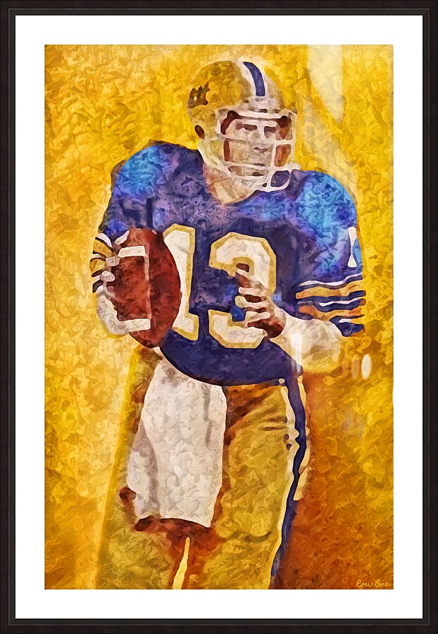 dan marino pitt panthers football art Picture Frame print