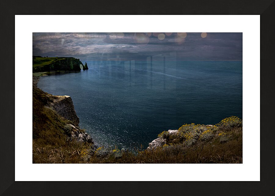 Etretat Cliffside Wildflowers Picture Frame print