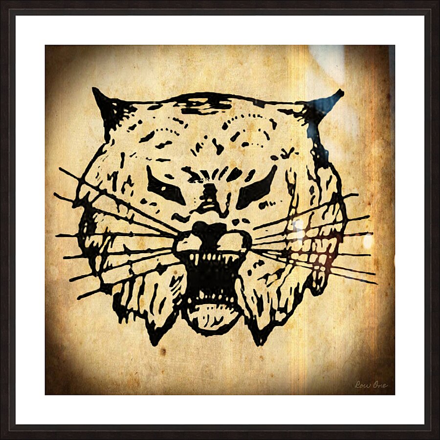 1940s wildcat mascot art Picture Frame print