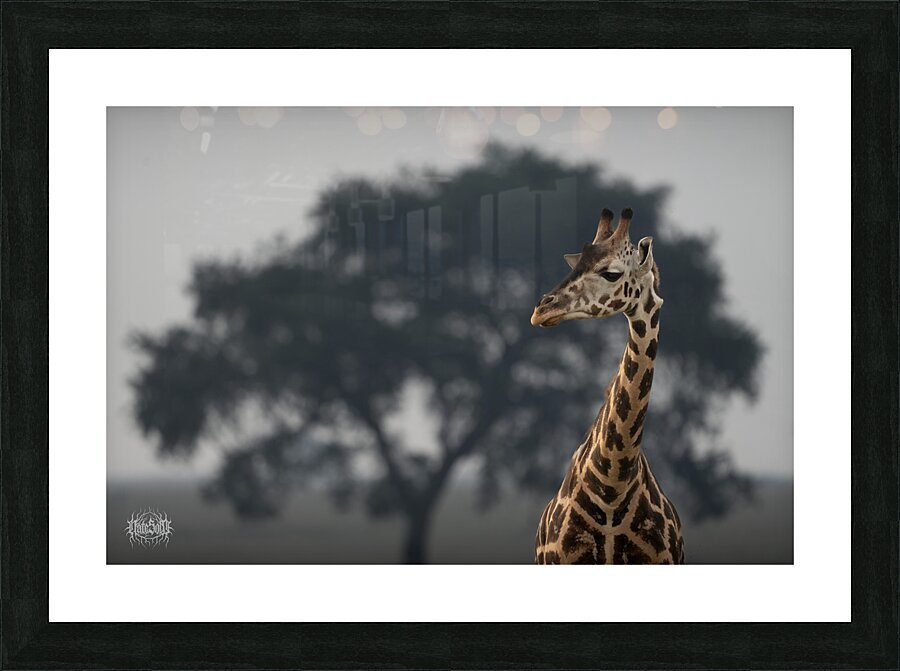 Leopard Moose Camel Picture Frame print