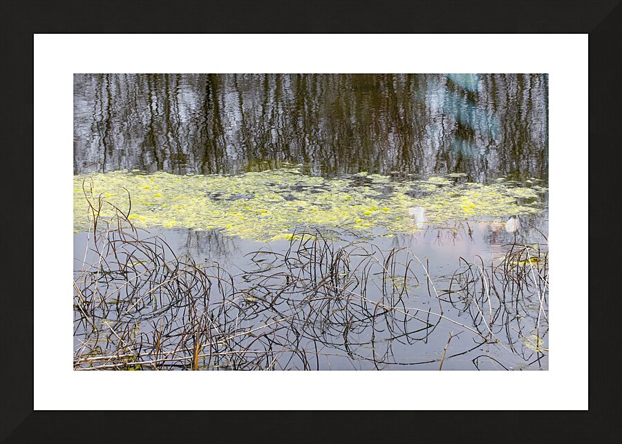 Winter Pond Textures Picture Frame print